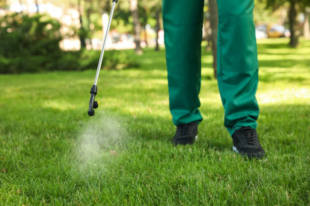 Best Cockroach Control Services  in Monson Center, MA
