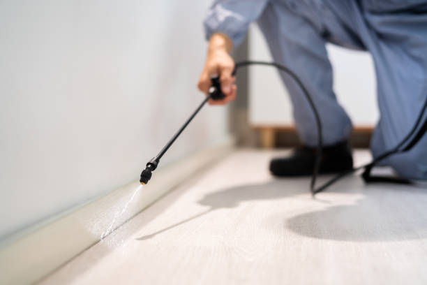 Professional Pest Control in Monson Center, MA