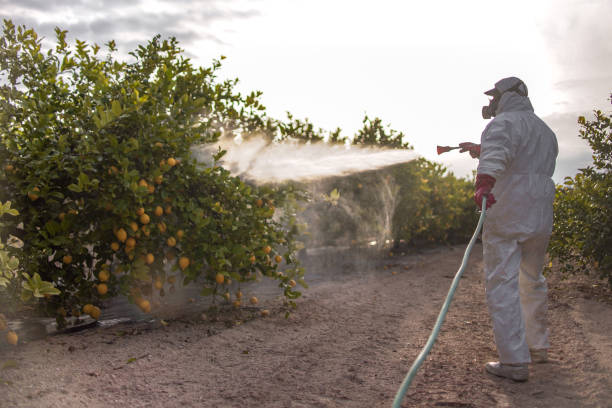 Best Emergency Pest Control  in Monson Center, MA