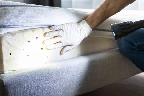 Best Best Pest Control Companies  in Monson Center, MA