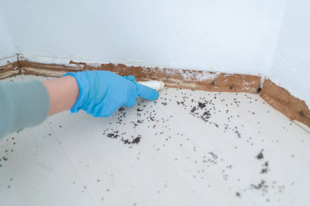 Wildlife Control Services in Monson Center, MA