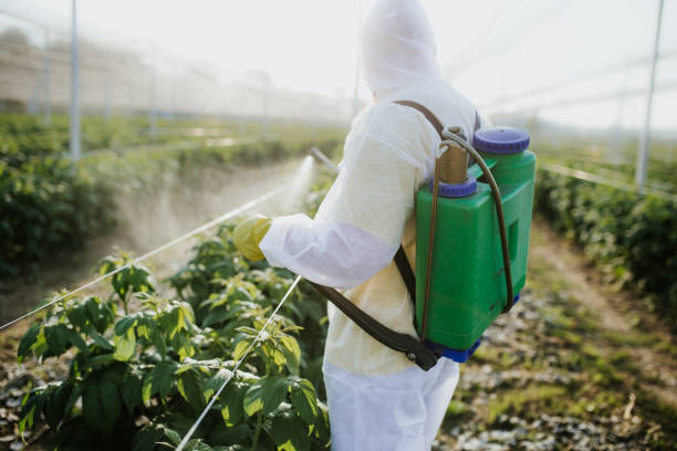 Pest Prevention Services in Monson Center, MA
